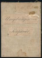 1880 Kapuvár és környékének katonai térképe, rajta a Fertő-tó dél-nyugati részével, és Eszterházával...