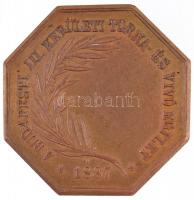 ~1900. "A Budapesti III. Kerületi Torna- és Vivó Egylet 1887 / Ép testben ép lélek" Br spo...