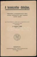 A természettan dióhéjban.Táblázatokkal, és képletgyűjteménnyel ellátva, érettségi, tanítóképesítő és...