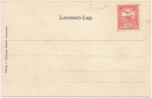 Temesvár, Timisoara; Andrássy út, villamos, lóherés litho művészlap, Uhrmann Henrik kiadása / street...