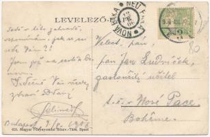 Budapest III. Óbuda, Özv. Kiss Károlyné vendéglője a Krempelmalomhoz, kerthelyiség (EB)