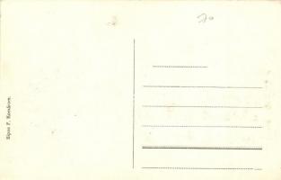 Komárom, Komárno; Újváros, Selyemfonoda, galamb / silk spinning mill, dove