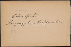 1883 Iványi fürdő, Munkács mellett, keményhátú fotó, körbevágott kartonnal, 10x15 cm.
/ 1883 Bath i...