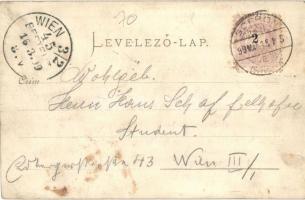 1899 Sopron, Győr-Sopron-Ebenfurti pályaudvara, vasútállomás, L. F. Kummert kiadása / Raab-Oedenburg...