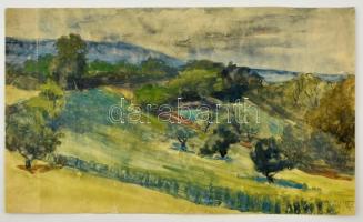 E. Tassy Klára (1922-2001): Dombos táj. Akvarell, papír, jelzett, sérült, 21×36 cm