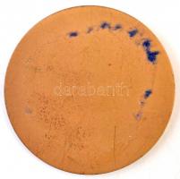 Szántó Gergely (1886-1962) 1927. "Királyi Magyar Egyetemi Nyomda" Br emlékérem, kitámaszth...