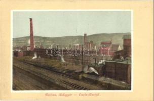 Resica, Resita; Kokszgyár / Coaks-Anstalt / coke furnace factory