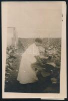 1914 Kuba, Havanna a Henry Clay and Bock Co. szivargyár munkásai 3 db fotó. Pásztor Árpád, az Est mu...