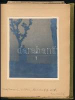 cca 1932 Navratilné Hegedűs Rózsika, Jókai Mór keresztlánya, Hegedűs Sándor miniszter férjének gyűjt...