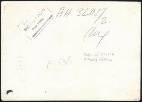 cca 1960 Petress Zsuzsa és Baksay Árpád színészek aláírásai őket magukat ábrázoló fotón