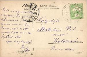 1908 Pusztaszenttamás (Pusztapó, Kétpó); Országos Földhitelintézet Tiszti üdülője / kastély, photo