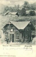 1899 Rónaszék, Costiui (Máramaros); Apaffy-bánya, Wizner és Dávid kiadása / mine (EK)