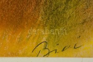 Biai jelzéssel: Bohócok. pasztell, papír, üvegezett keretben, 40×28 cm