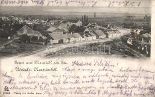 Nezsider, Neusiedl am See; látkép, Stefan Amon kiadása  / general view (EB)