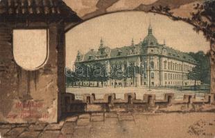 Brassó, Kronstadt, Brasov; Königl. ung. Finanzpalais / M. kir. pénzügyi palota, litho művészlap / financial palace, art postcard litho (r)