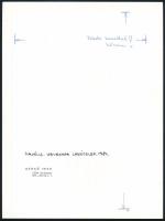 Benkő Imre (1943- ): Majális, Havanna lakótelep 1984, fotó, hátulján feliratozva, 24×18 cm