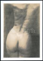 7 db aktfotó, közte színesek is, különböző méretben