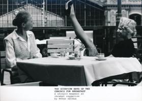 6 db modern filmfotó az A skorpió megeszi az ikreket reggelire c. filmből, hátuljukon feliratozva, 1...