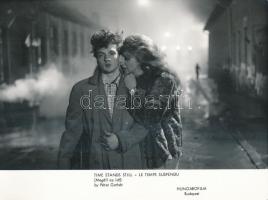 8 db filmfotó a Megáll az idő c. filmből, hátuljukon feliratozva, 13×18 cm