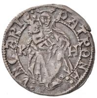 1498-1503K-H Denár Ag "II. Ulászló" (0,6g) T:1-,2 Huszár: 809., Unger I.: 644.b