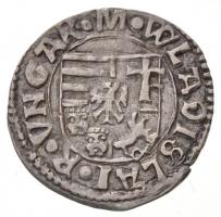 1498-1503K-H Denár Ag "II. Ulászló" (0,6g) T:1-,2
Huszár: 809., Unger I.: 644.b