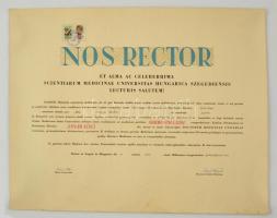 1957 Orvosi doktori diploma, Szegedi Orvostudományi Egyetem, 5 és 20f. illetékbélyeggel, az egyetem rektorának, és dékánjának aláírásaival.