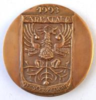 1993. "Hollósy / 1993. Kárpátalja - Tecső" kétoldalas Br plakett. Szign.:TE (90mm) T:2