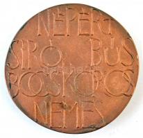 Csíkszentmihályi Róbert (1940-) 1976. "Ady Endre / Népért síró, bús, bocskoros nemes" Br p...