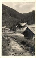 Radnaborberek-fürdő, Valea Vinului; M. kir. Földművelési Minisztérium üdülőtelepe / spa (EK)