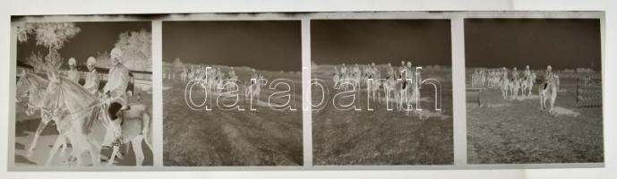 cca 1968 Sinka Antal (?-?) hagyatékából 4.500 db (2,3 kg) vintage negatív, aki a velencei AGROKOMPLE...