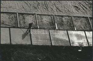cca 1975 Kortárs fotóművészeti alkotások, 3 db vintage fotó, kettő feliratozva, 24x18 cm és 15,5x24 cm
