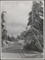 cca 1940 Matheisel József (1908-1961) rozsnyóbányai fotóművész 2 db vintage alkotása, egyik feliratozott + 1 db későbbi nagyítás, 24x18 cm