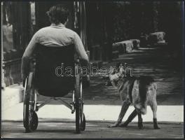 cca 1975 Kortárs fotóművészeti alkotások, 3 db vintage fotó, kettő jelzett, 18x24 cm