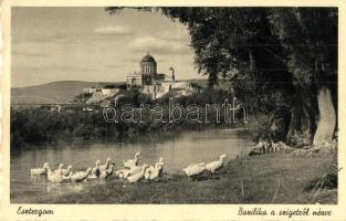 Esztergom, Bazilika a szigetről nézve  (EK)