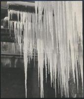 cca 1940 Korschelt Miklós (1900-1982) budapesti festő- és fotóművész 2 db vintage alkotása, az egyik...