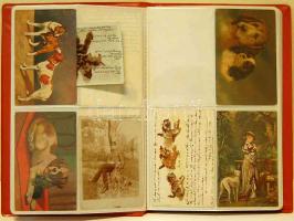 Állatok, 43 régi képeslap albumban, közte sok kutya