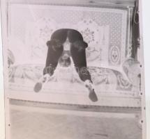 cca 1970 Erotikus és pornográf fotónegatív, két tekercsben összesen 20 kocka, néhányon apró sérülés,...