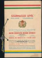 1938 Rudi fényképe és származási levele (törzskönyve), 23x17,5 cm