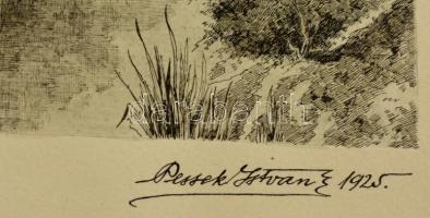 Pessek István (?-?): Patak part. Rézkarc, papír, jelzett, 22×16 cm