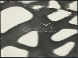 cca 1977 Zsigri Oszkár (1933-?) hagyatékából 3 db vintage fotóművészeti alkotás, kettő jelzett, 18x24 cm