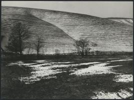 cca 1977 Zsigri Oszkár (1933-?) hagyatékából 3 db vintage fotóművészeti alkotás, kettő jelzett, 18x2...