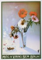 1985 Még a virág sem bírja! Országos Egészségnevelési Intézet, dohányzás ellenes kisplakát, 23x16 cm
