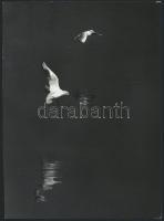 cca 1976 Zsigri Oszkár (1933-?) hagyatékából 3 db vintage fotóművészeti alkotás, egy jelzett, 18x24 ...