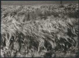 cca 1976 Zsigri Oszkár (1933-?) hagyatékából 3 db vintage fotóművészeti alkotás, egy jelzett, 18x24 ...