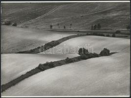 cca 1976 Zsigri Oszkár (1933-?) hagyatékából 3 db vintage fotóművészeti alkotás, egy jelzett, 18x24 ...