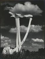 cca 1975 Gebhardt György (1910-1993) hagyatékából 3 db vintage fotóművészeti alkotás, kettő jelzett,...