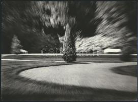 cca 1973 Gebhardt György (1910-1993) hagyatékából 3 db vintage fotóművészeti alkotás, kettő jelzett,...