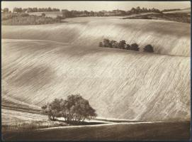cca 1970 Gebhardt György (1910-1993) hagyatékából 3 db vintage fotóművészeti alkotás, kettő jelzett,...