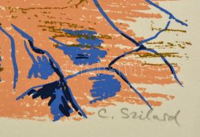 Szilárd Klára (1921-): Szárazság. Szitanyomat, papír, jelzett, 34×40 cm