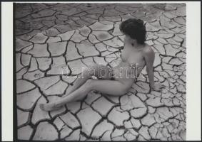 cca 1973 A vetkőztető objektív mindenhatósága, 3 db szolidan erotikus fotó, vintage negatívokról kés...